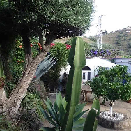 Finca El Cisne, * Torrox