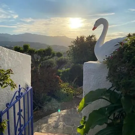 Finca El Cisne, * Torrox