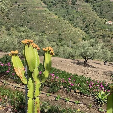 Finca El Cisne, Torrox