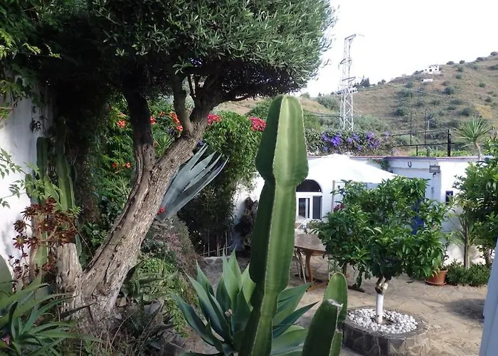 El Cisne, 4* Torrox