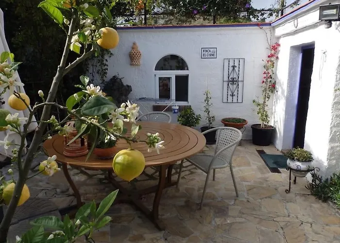 El Cisne, Hotel Torrox